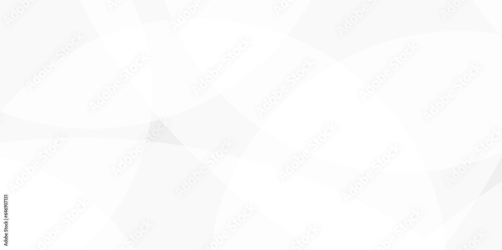 Fototapeta premium Abstract circles and squares white and gray color on gradient background. Modern and geometric design with paper circle design silver background texture.