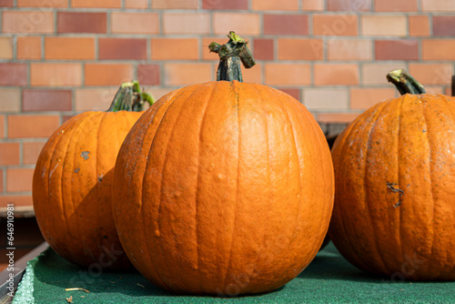 Group of pumpkins in the production market.
