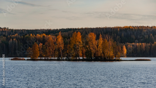 Forest scenery by a lake in Pirkanmaa  Finland with yellow autumn colors