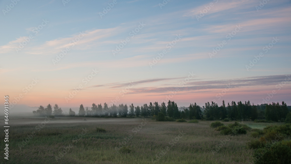 Early morning fog in the reeds of Kokemäenjoki river delta in Pori, Finland