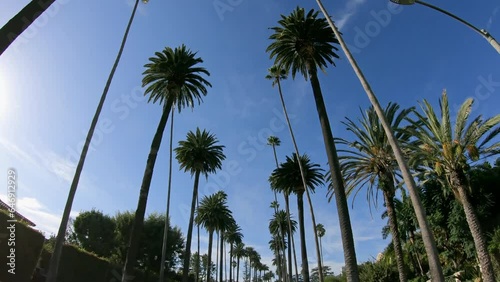 Riding with a cabriolet under the palm trees in Beverly Hills, Los Angeles with sunshining through the palm trees. Beverly Hills Drive, LA, California