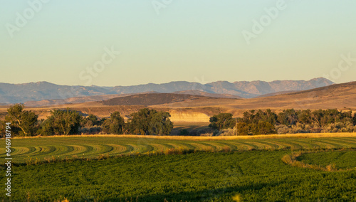 summer landscape in wyoming