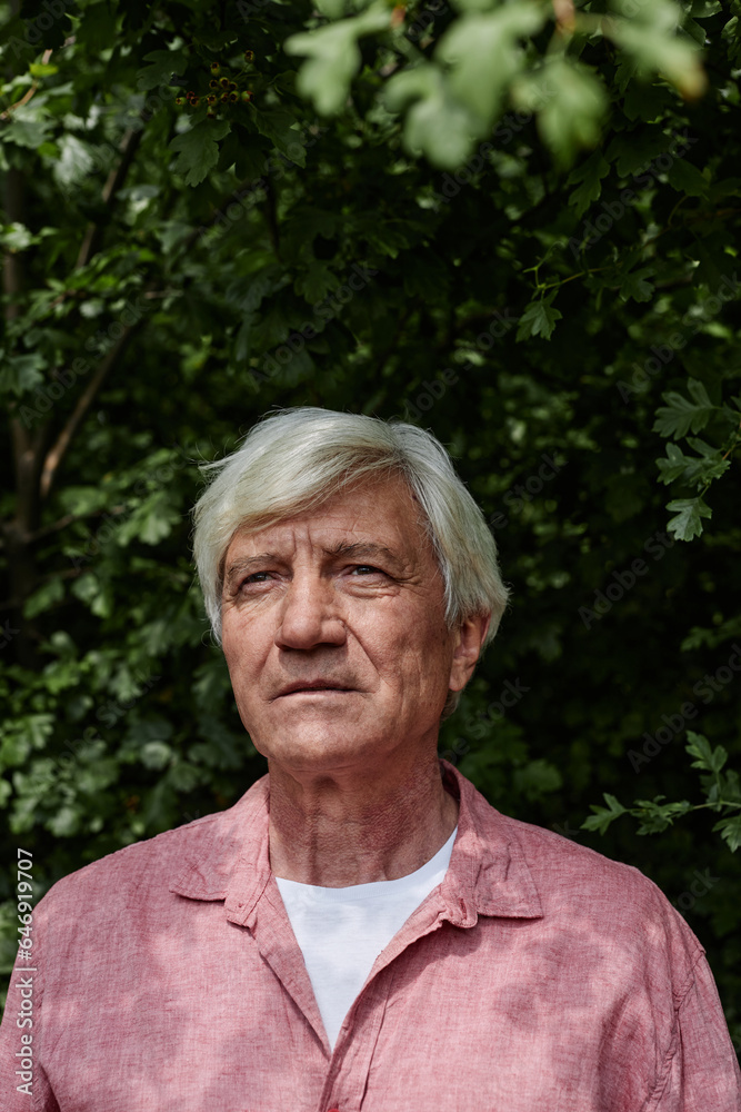 Front view portrait of white haired senior man standing against greenery outdoors Front view portrait of white haired senior man standing against greenery outdoors