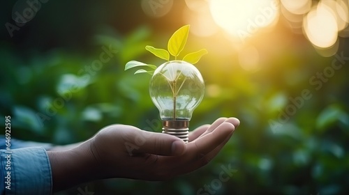 Hand hold light bulb with nature green leaf