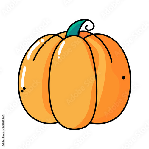 pumpkin orange harvest vector illustration