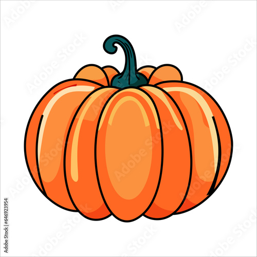 pumpkin orange harvest vector illustration