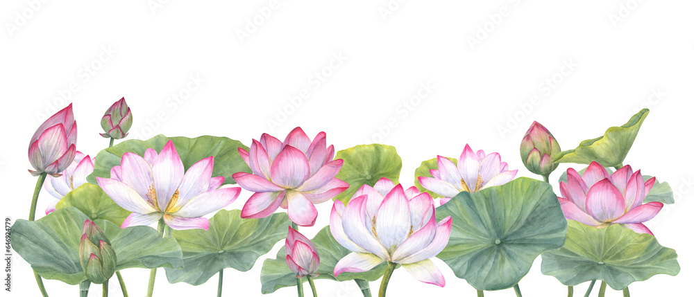 Floral composition with pink Lotus Flowers, Buds and Leaves. Water lily, Indian lotus, sacred lotus, green stems, leaf, bud. Watercolor illustration for poster, banner, postcard. Space for text.