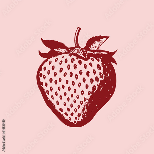 Strawberry illustration hand drawn vintage vector