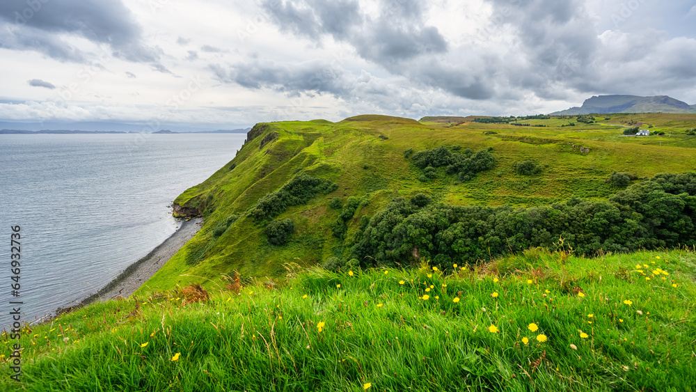 Stunning cliffs with green meadows full of flowers on the Isle of Skye, Scotland.