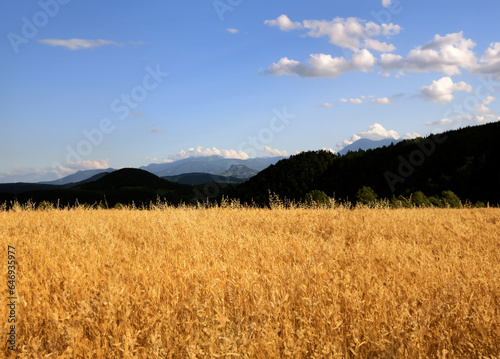 Tranquil Tuscany  The Breathtaking Beauty of the Tuscan-Emilian Apennine Hills with Bismantova Rock in the Distance