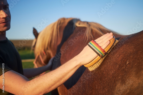 Man during grooming horse on sunny summer day. Close-up of hand while brushing of back of brown mare.. © Chalabala