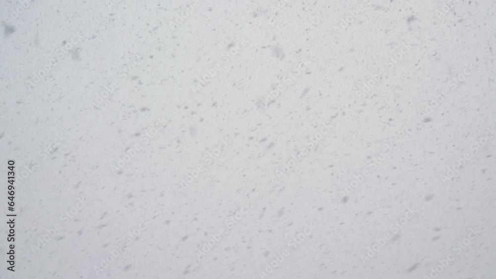 Snow is falling on gray and cloudy sky background. Snowy weather. Winter nature Snow is falling on gray and cloudy sky background. Snowy weather. Winter nature