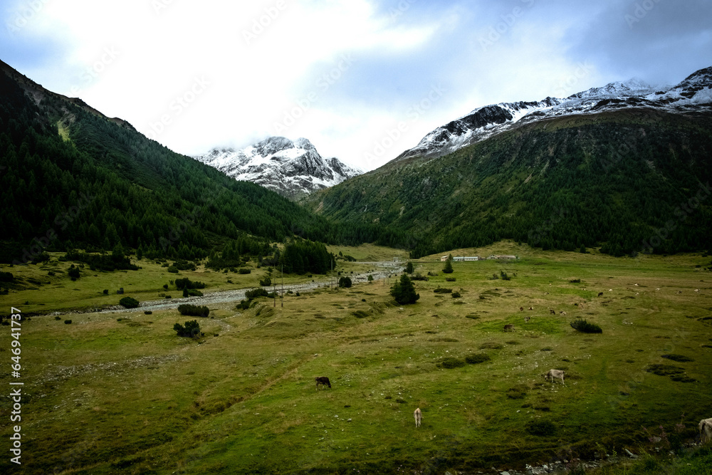 Naklejka premium splendid alpine landscapes of Livigno and Valtellina in July 2023, the mountains in summer