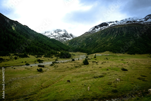 splendid alpine landscapes of Livigno and Valtellina in July 2023, the mountains in summer