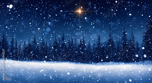 illustration of a forest in the middle of winter at night © Marco