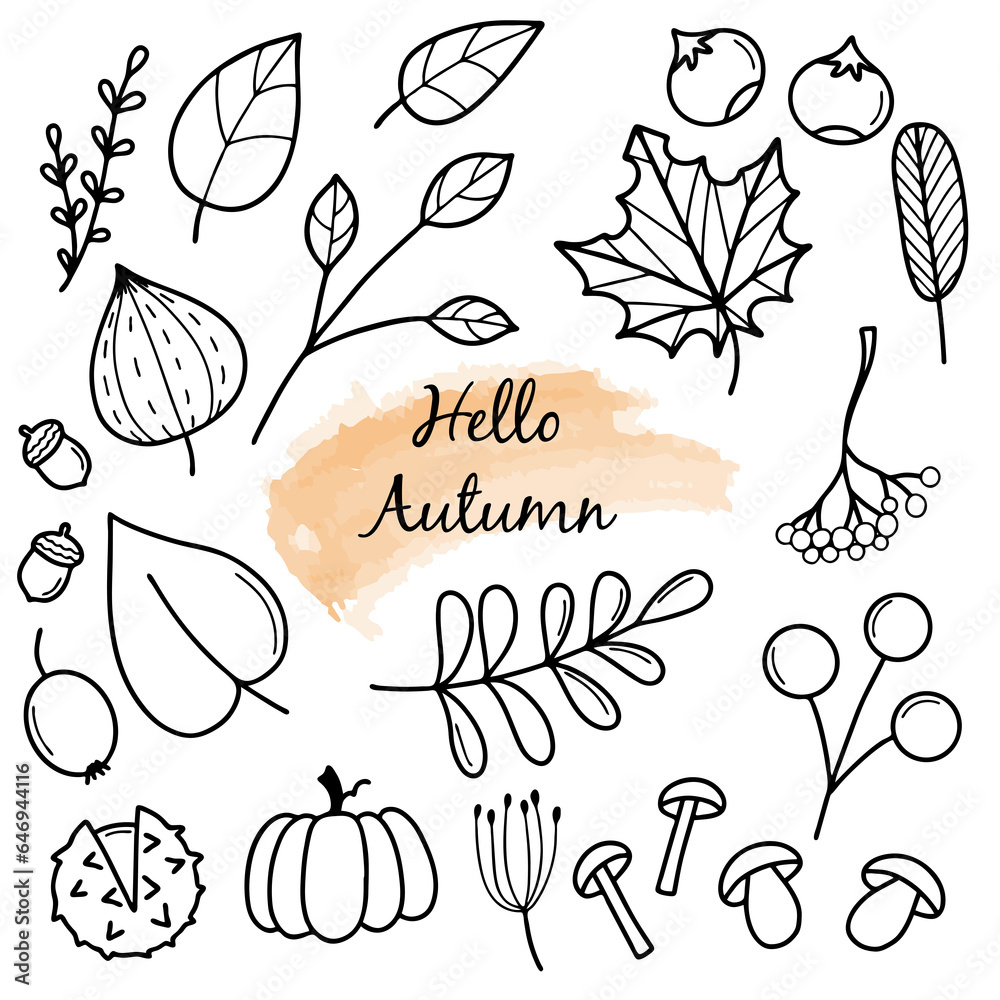 Fototapeta premium Hello Autumn. Autumn harvest symbols. Set of autumn elements: leaves, berries, fruits, vegetables, mushrooms, acorns. Hand-drawn, sketch. Vector illustration in doodle style