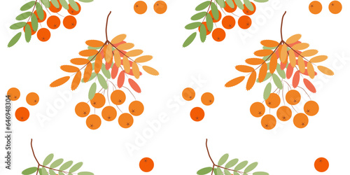 Autumn seamless pattern. branch of rowan berries. Vector flat illustration.