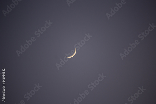 Mond