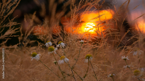 Abendrot
