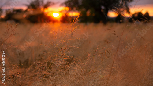 Abendrot