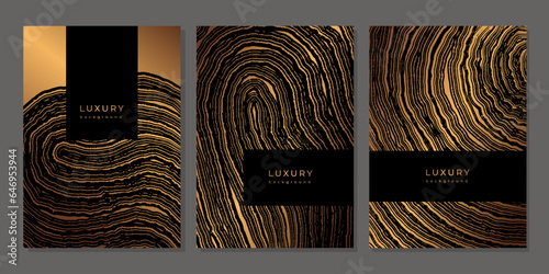 Set of templates. Luxury golden background with wood annual rings texture. Banner with tree ring pattern. Stamp of tree trunk in section. Wooden concentric circles. Black and bronze marble background