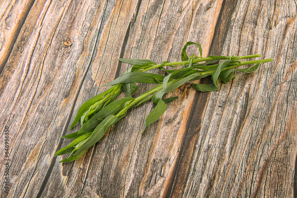 Green tarragon herb spice for cooking Green tarragon herb spice for cooking