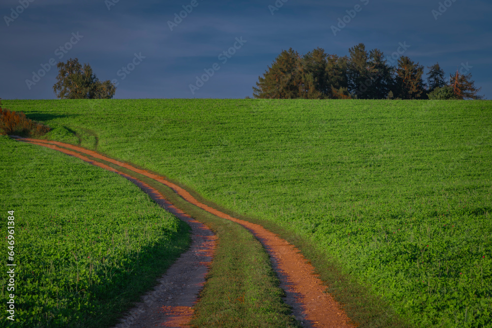 Summer path between green fields near Vysoke nad Jizerou town