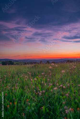 Flower meadow after color beautiful sunset with cloudy sky in Krkonose mountains © luzkovyvagon.cz