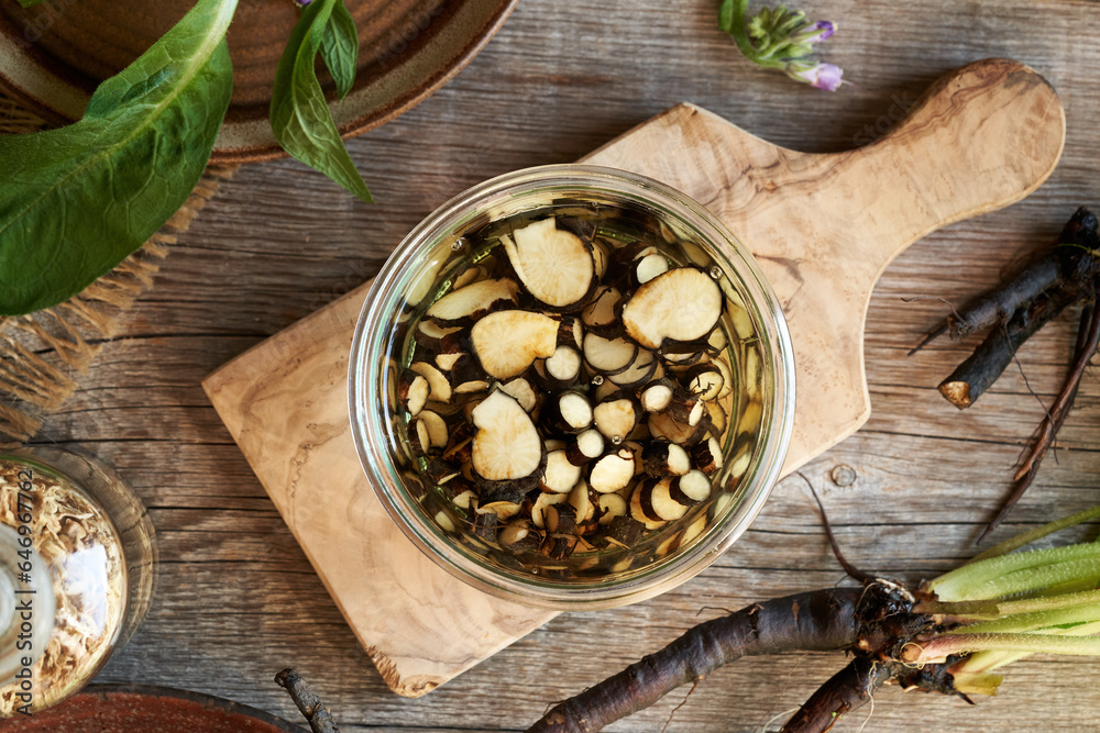 Preparation of homemade tincture from fresh comfrey of Symphytum root, top view Preparation of homemade tincture from fresh comfrey of Symphytum root, top view