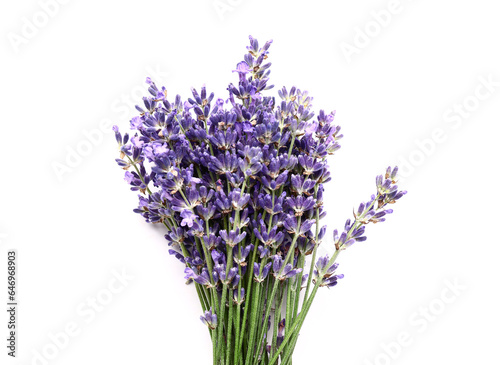 Bunch of beautiful lavender flowers on white background  closeup