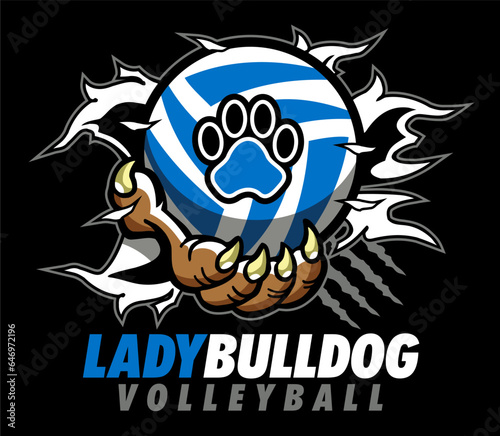 lady bulldog volleyball design with paw holding ball and ripping through background for school, college or league