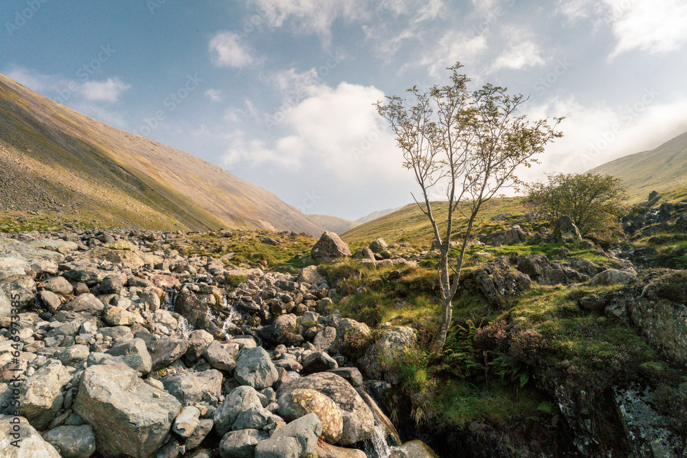 Summer mornings by a babbling brook on the trail up to Scafell Pike, from Wasdale, The Lake District, UK  