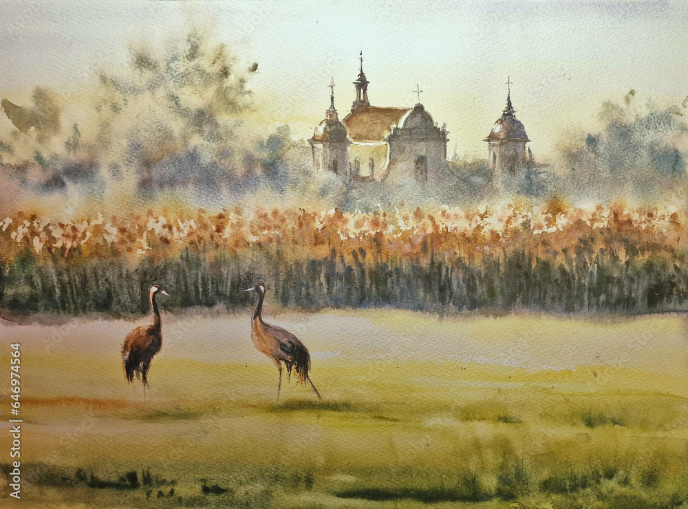 Late summer rural landscape with cranes on a meadow and architecture in background. Tykocin, Poland. Picture created with watercolors. Late summer rural landscape with cranes on a meadow and architecture in background. Tykocin, Poland. Picture created with watercolors.