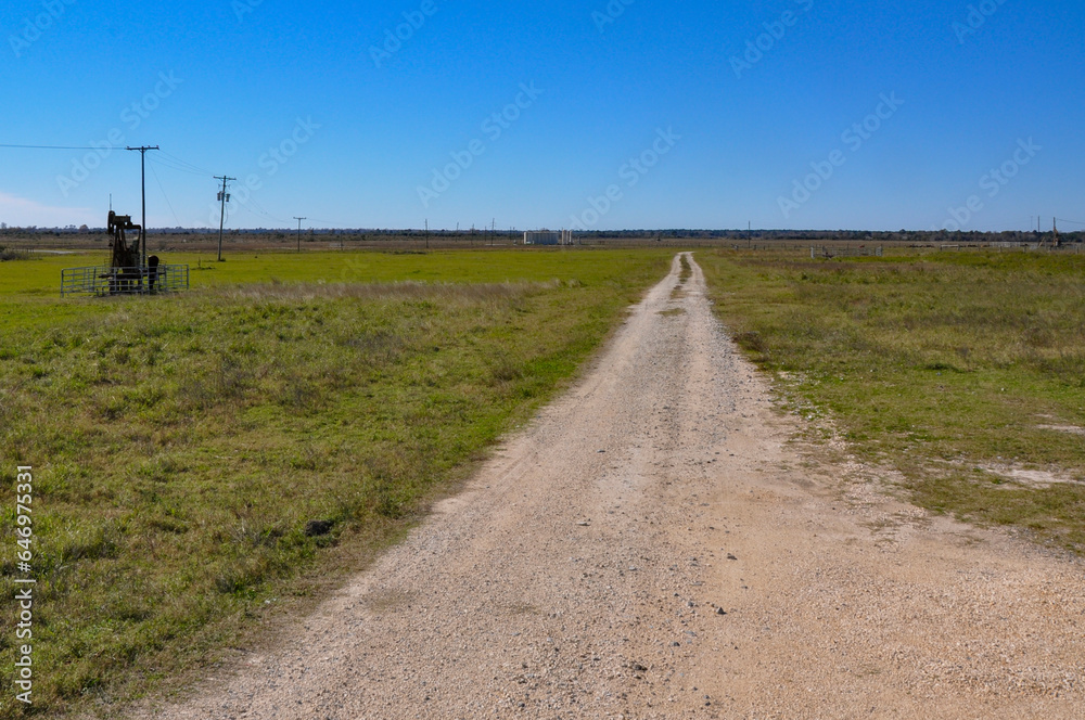 Gravel road leading through a picturesque cattle farm.