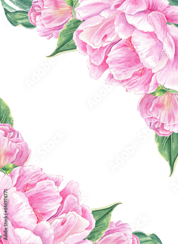 Watercolor frame, border pink peonys hand-drawn in botanical style for use in presentation, wedding, holiday and nature design invitation. Daisy flower for decorating cards, gift wrapping, posters