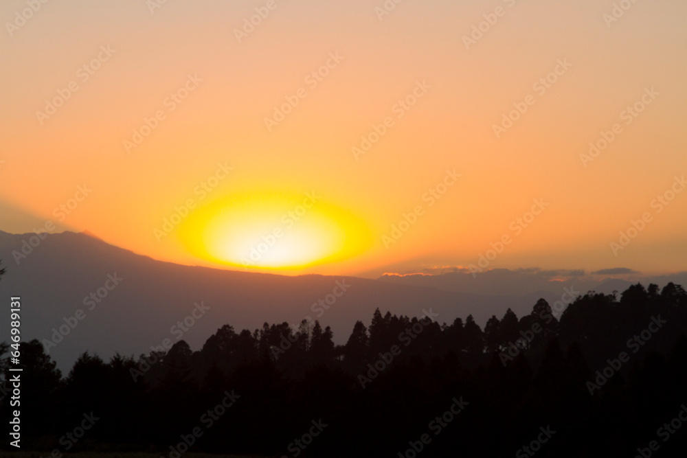 Atardeciendo con el bosque de silueta. Atardeciendo con el bosque de silueta.