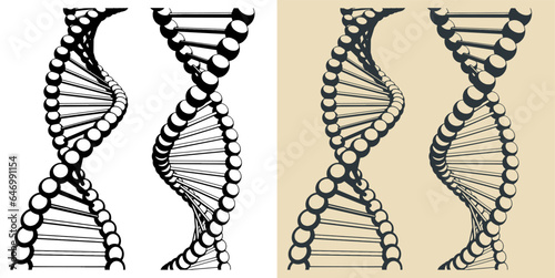 DNA chains illustrations