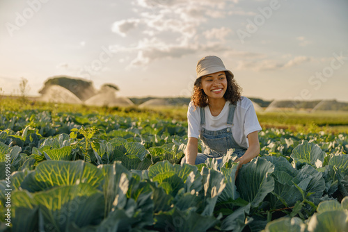 Smiling female farmer in uniform working in cabbage field during harvest. Agricultural activity