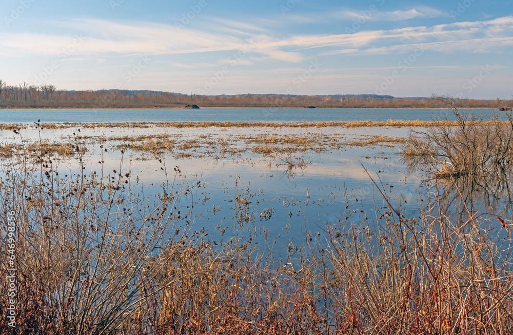 Wetlands along the Illinois River