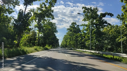 road in the park