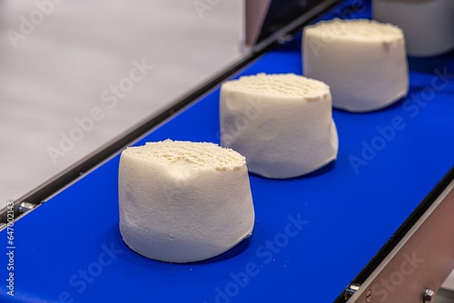 Pieces of dough on a conveyor belt. Industrial production of bread. Preparing dough for baking bread or baguettes. Baking business
