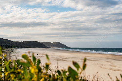 Grassy Heads NSW Australia