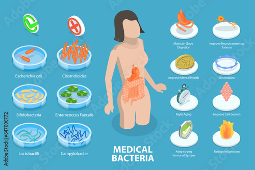 3D Isometric Flat Vector Conceptual Illustration of Medical Bacteria, Healthy Eating for Gut