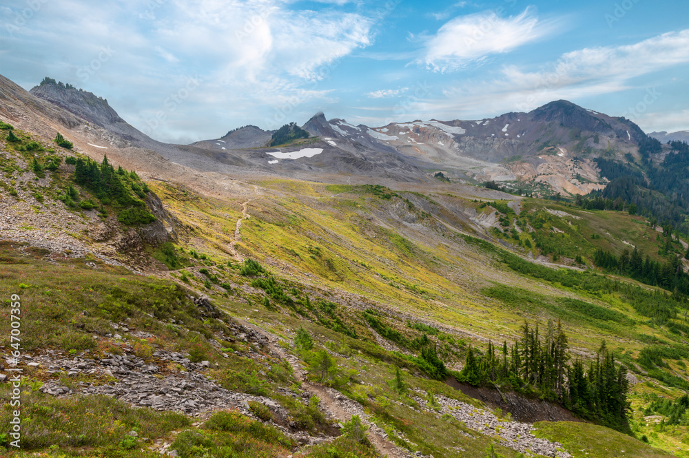 Naklejka premium Alpine Wilderness in the Mt. Baker National Forest. Beautiful mountain and forest and valley views along the Ptarmigan Ridge Trail high in the North Cascade mountains of Washington state.