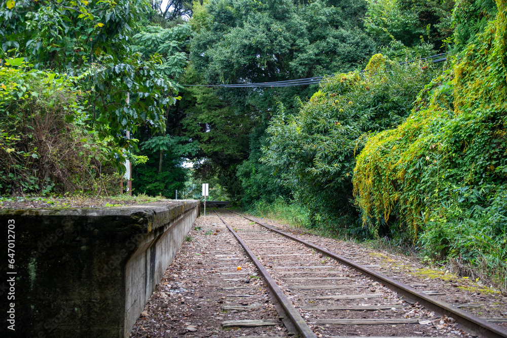 Fototapeta premium 旧国鉄倉吉線廃線跡
