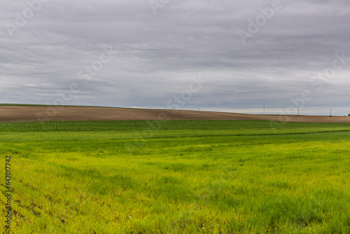Green landscape near Lysa nad Labem, Czech Republic
