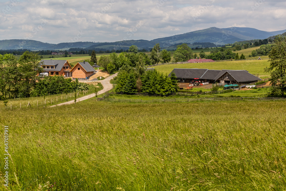 Meadows near Sanov village, Czech Republic