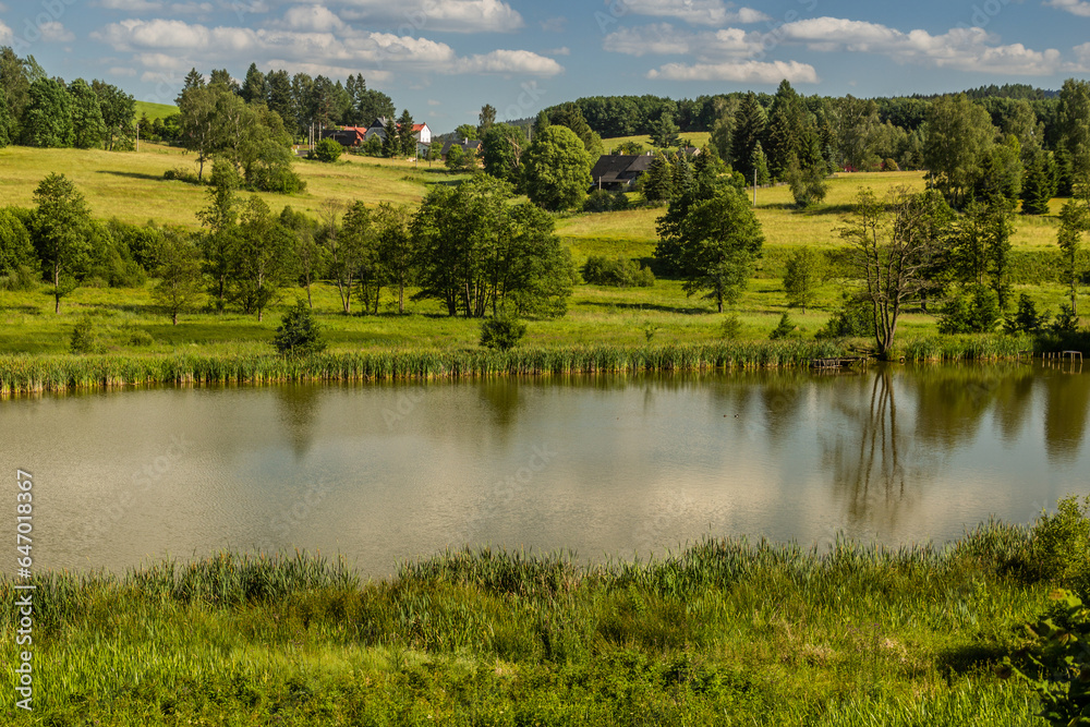 View of a pond in Lobendava, Czech Republic