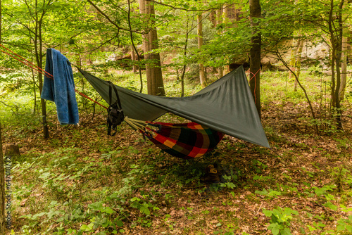 Hammock hanging in a forest in the Czech Republic