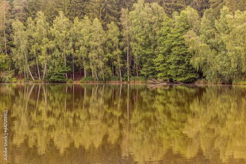 Trees reflecting in Slunecny rybnik pond near Lanskroun, Czech Republic © Matyas Rehak